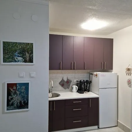 Apartment Kraljevici *
