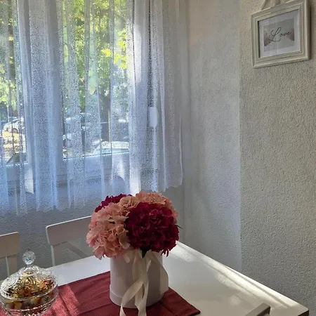 Apartment Kraljevici *