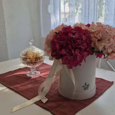 Apartman Kraljevici *